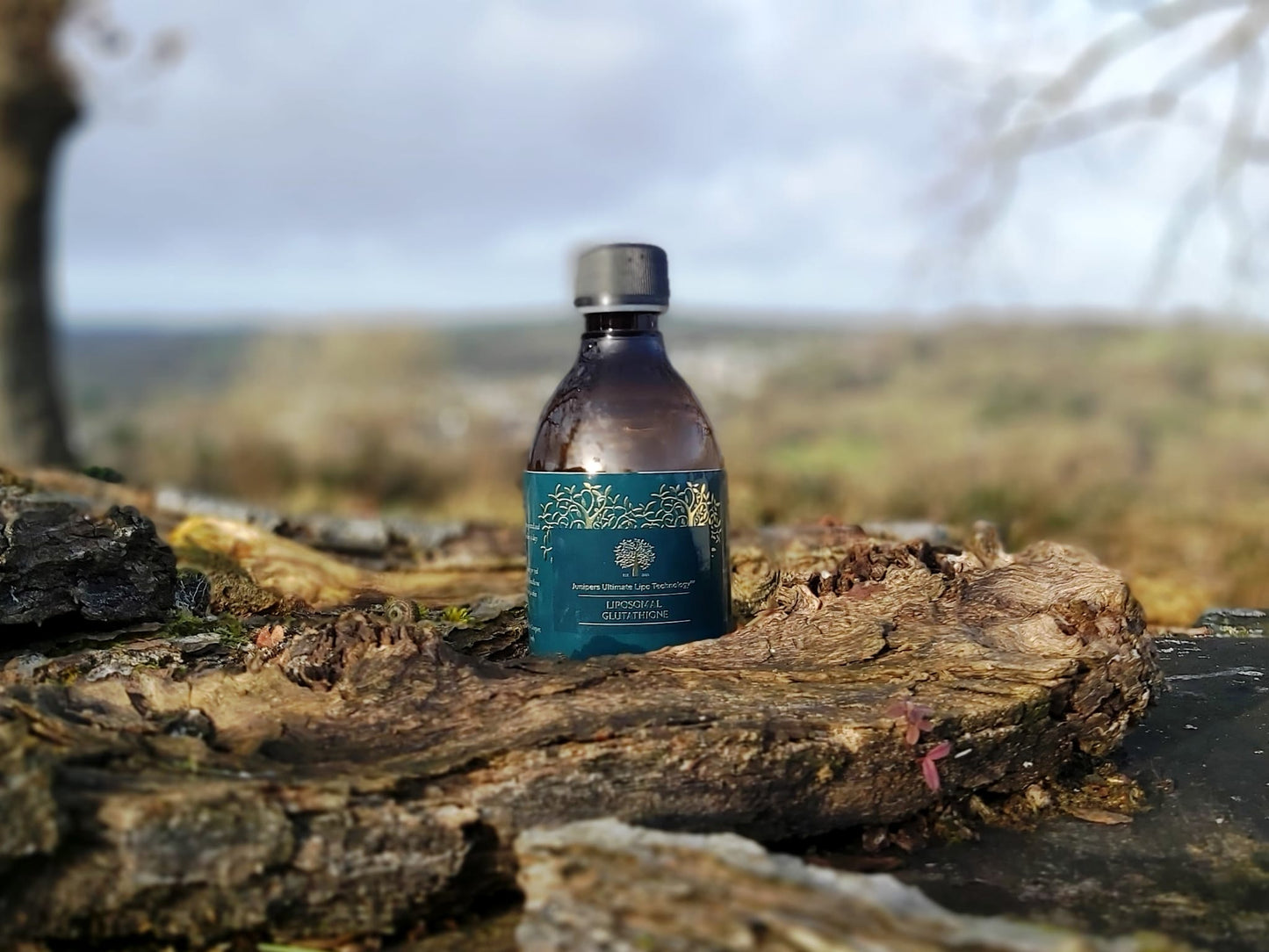 Vitamin D Liposomal Ultimate Absorption 300ml 1 month supply - Junipers