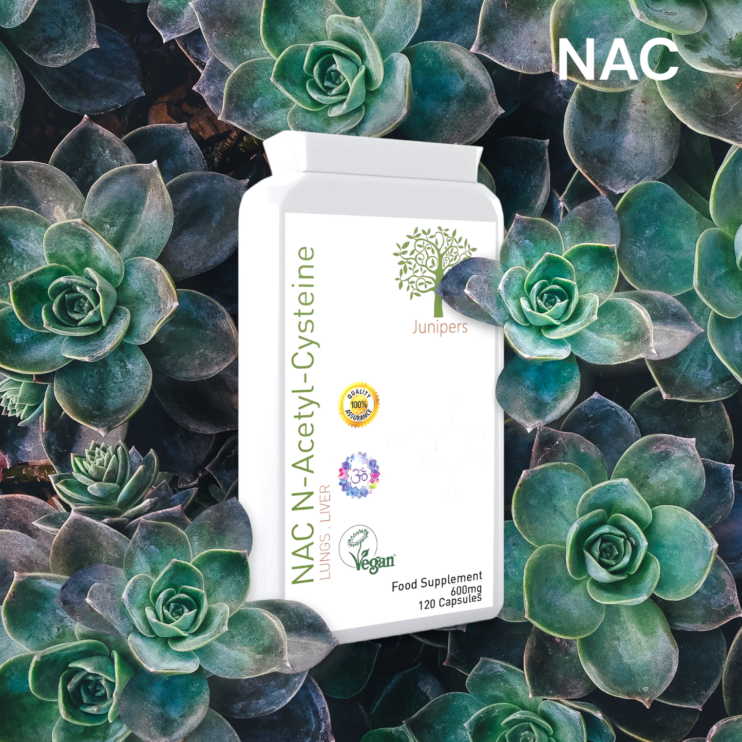 Pure NAC N-Acetyl-Cysteine 120 Capsules 600mg