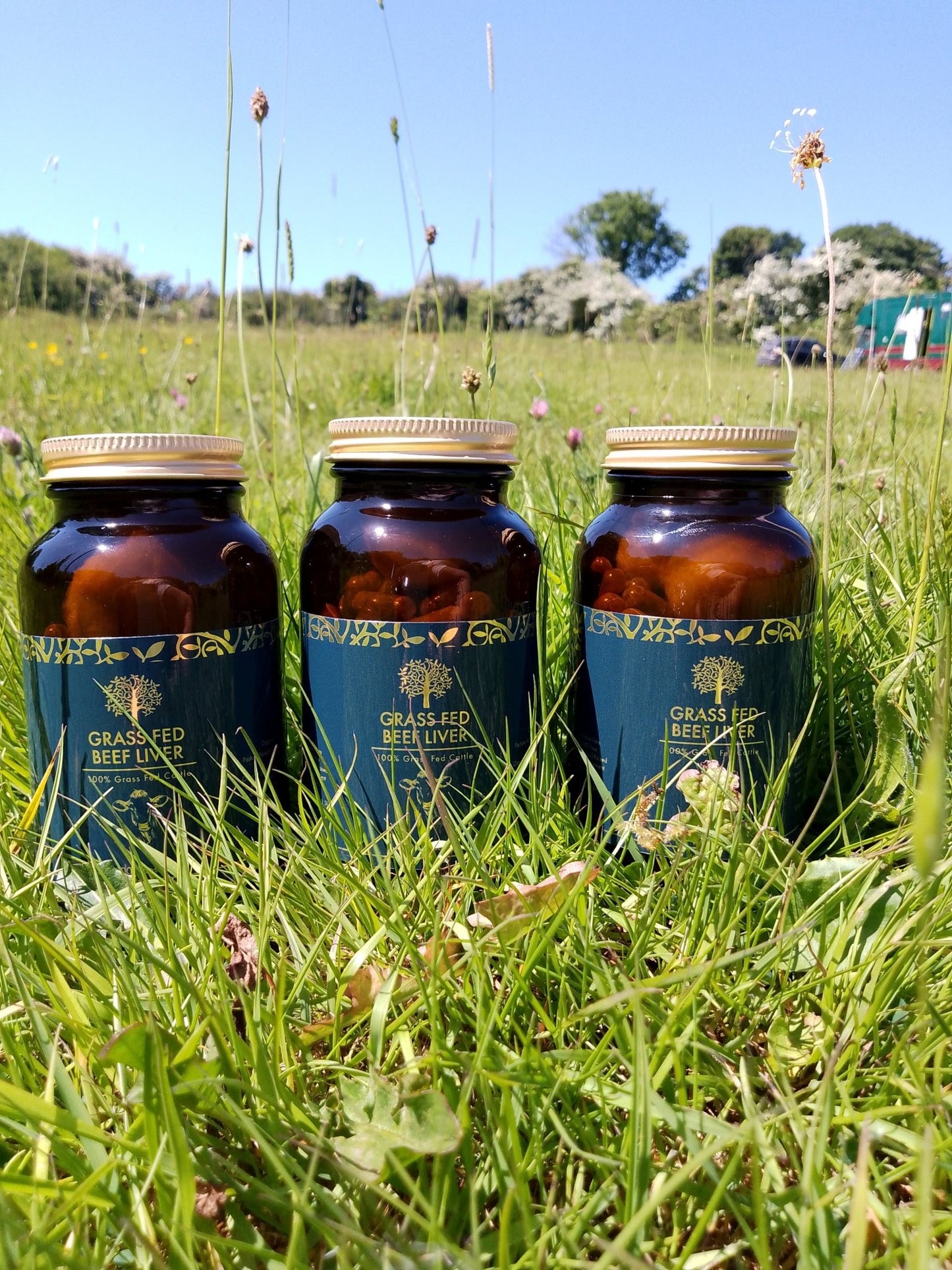 100 Grass Fed Beef Liver Capsules - Junipers