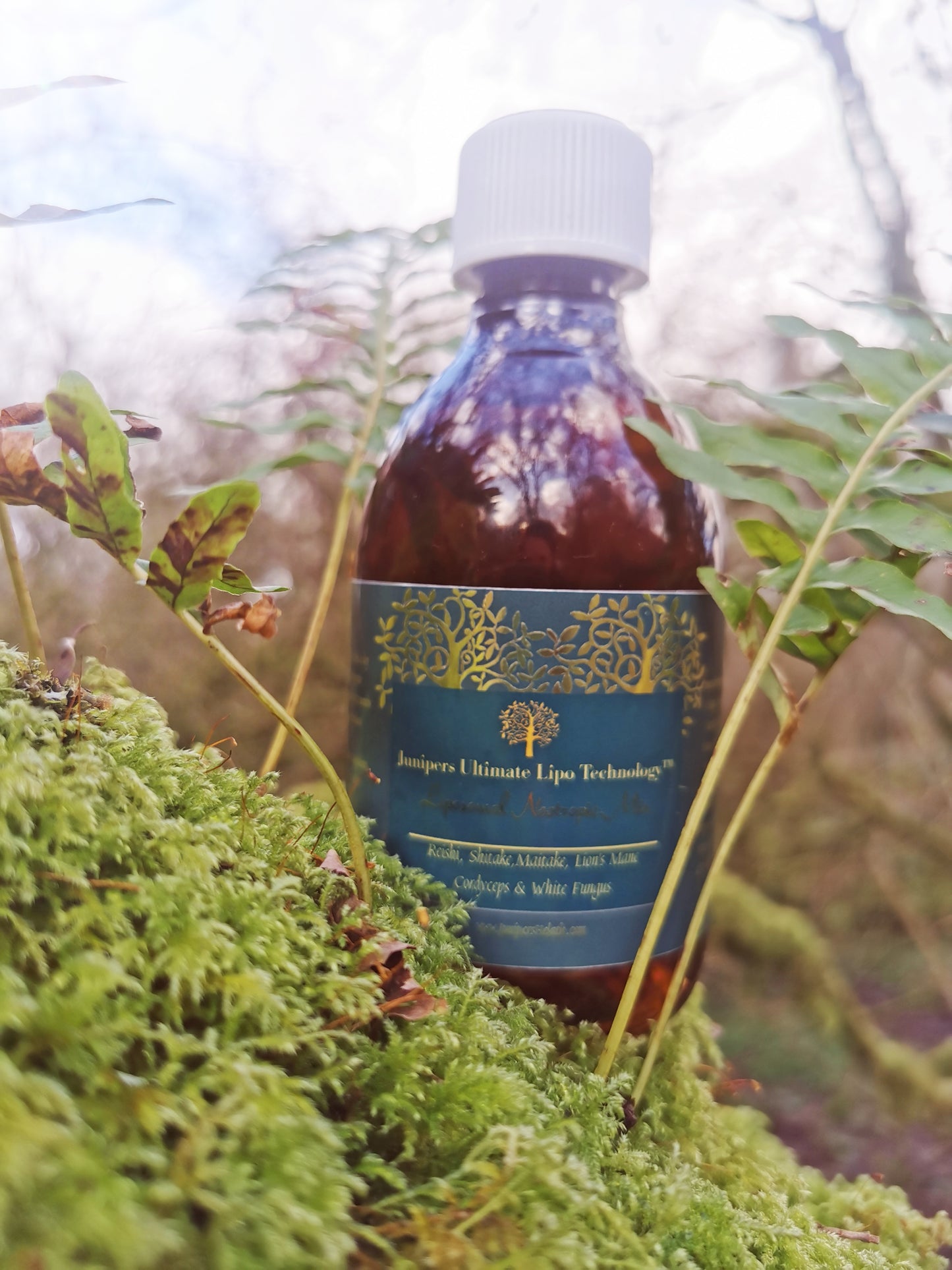 Organic Liposomal Niacinamide Mushroom Nootropic 300ml