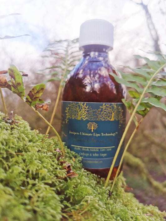 Organic Liposomal Niacinamide Mushroom Nootropic 300ml